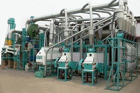 Maize Flour and Grits Milling Plant