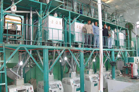 flour milling business at Africa