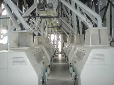 maize flour machine for plant