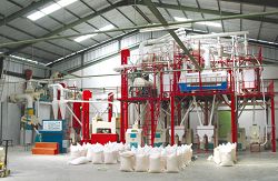 200t maize grits milling plant