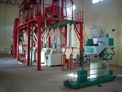 50t maize gtirs production line