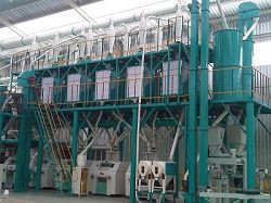 maize milling plant