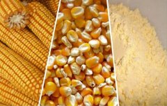 Our Method of Maize Milling Process
