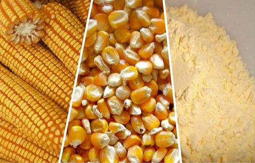 maize milling process