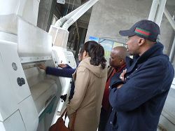 maize milling project customer visit