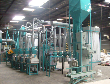 maize processing plant