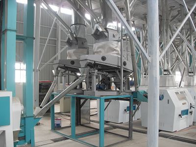 separator for maize flour plant